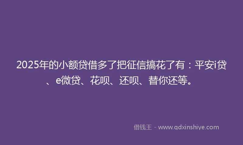2025年的小额贷借多了把征信搞花了有：平安i贷、e微贷、花呗、还呗、替你还等。