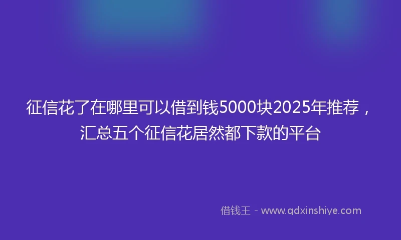 征信花了在哪里可以借到钱5000块2025年推荐,汇总五个征信花居然都下款的平台