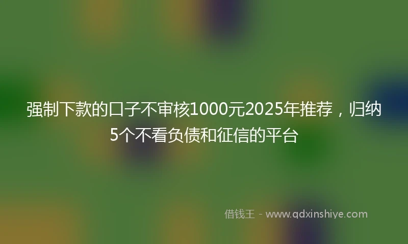 强制下款的口子不审核1000元2025年推荐，归纳5个不看负债和征信的平台