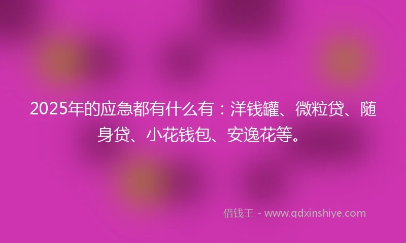 2025年的应急都有什么有：洋钱罐、微粒贷、随身贷、小花钱包、安逸花等。