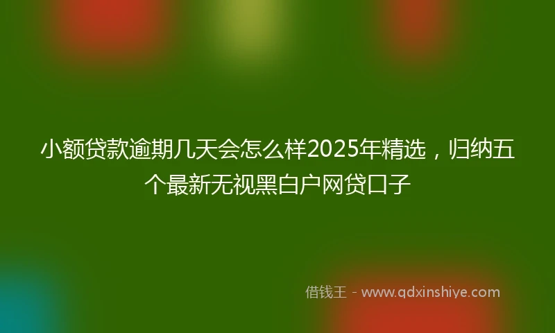 小额贷款逾期几天会怎么样2025年精选，归纳五个最新无视黑白户网贷口子