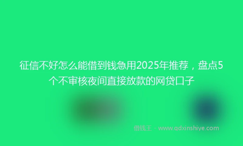 征信不好怎么能借到钱急用2025年推荐，盘点5个不审核夜间直接放款的网贷口子