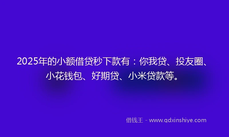 2025年的小额借贷秒下款有：你我贷、投友圈、小花钱包、好期贷、小米贷款等。
