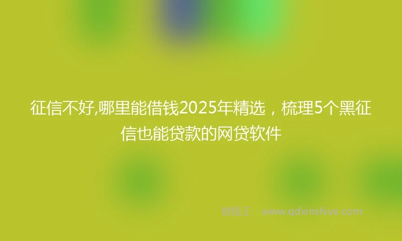 征信不好,哪里能借钱2025年精选，梳理5个黑征信也能贷款的网贷软件