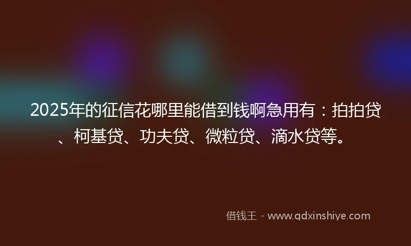 2025年的征信花哪里能借到钱啊急用有：拍拍贷、柯基贷、功夫贷、微粒贷、滴水贷等。