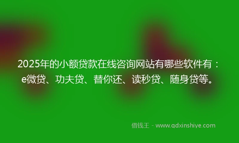 2025年的小额贷款在线咨询网站有哪些软件有：e微贷、功夫贷、替你还、读秒贷、随身贷等。