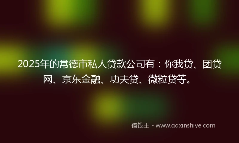 2025年的常德市私人贷款公司有：你我贷、团贷网、京东金融、功夫贷、微粒贷等。