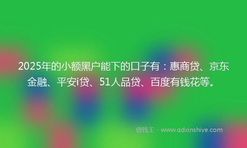 2025年的小额黑户能下的口子有：惠商贷、京东金融、平安i贷、51人品贷、百度有钱花等。