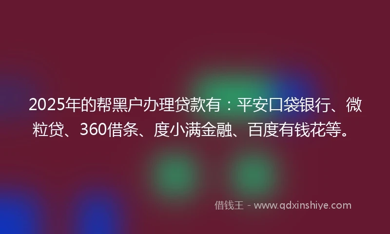 2025年的帮黑户办理贷款有：平安口袋银行、微粒贷、360借条、度小满金融、百度有钱花等。