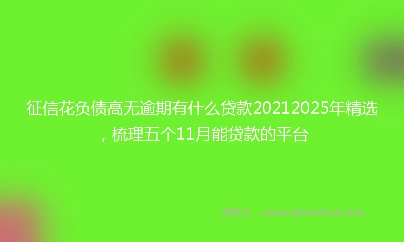 征信花负债高无逾期有什么贷款20212025年精选，梳理五个11月能贷款的平台