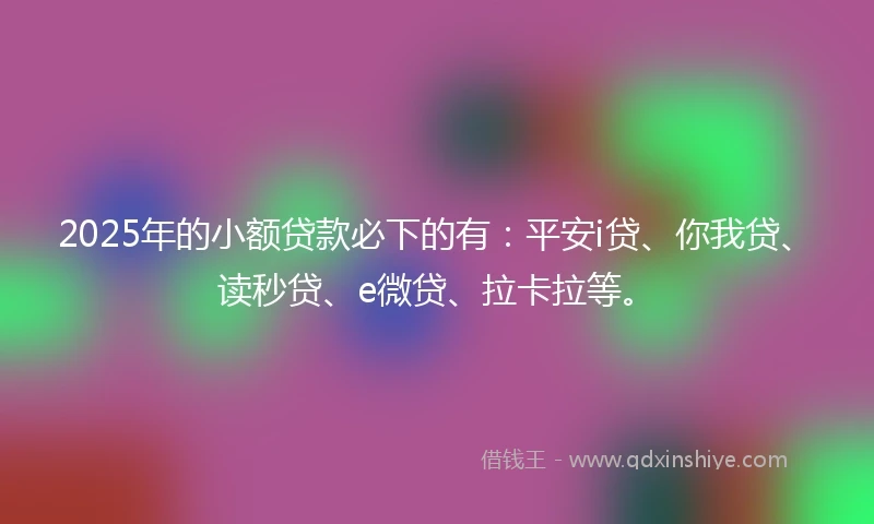 2025年的小额贷款必下的有：平安i贷、你我贷、读秒贷、e微贷、拉卡拉等。