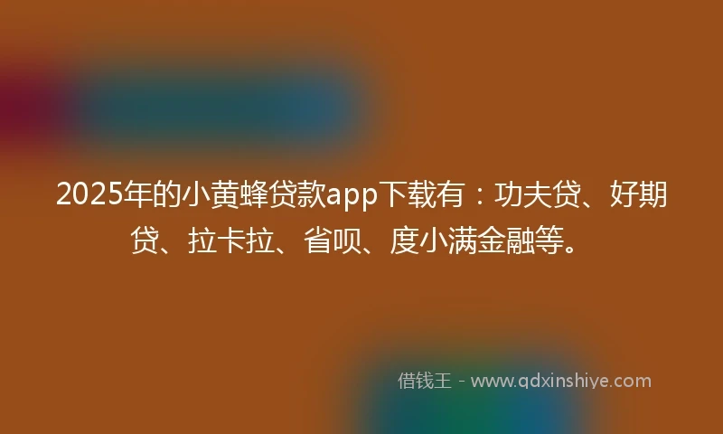 2025年的小黄蜂贷款app下载有：功夫贷、好期贷、拉卡拉、省呗、度小满金融等。