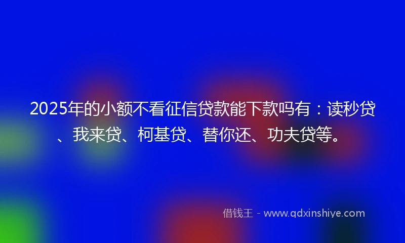 2025年的小额不看征信贷款能下款吗有：读秒贷、我来贷、柯基贷、替你还、功夫贷等。