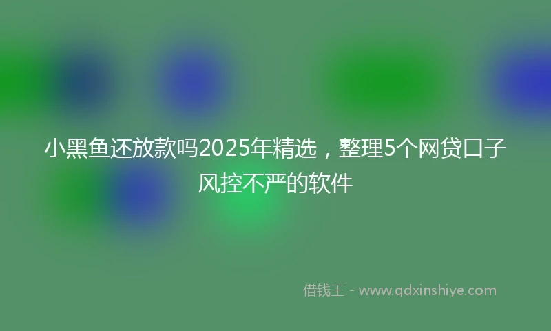 小黑鱼还放款吗2025年精选，整理5个网贷口子风控不严的软件