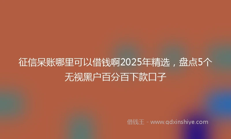 征信呆账哪里可以借钱啊2025年精选,盘点5个无视黑户百分百下款口子