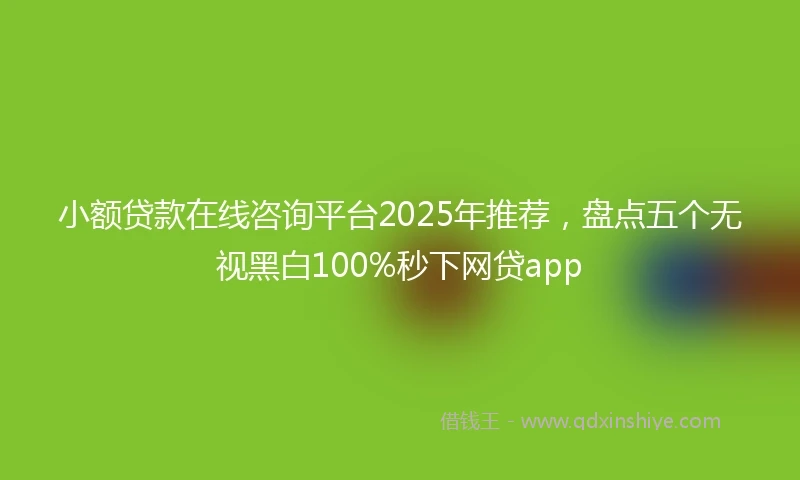 小额贷款在线咨询平台2025年推荐，盘点五个无视黑白100%秒下网贷app