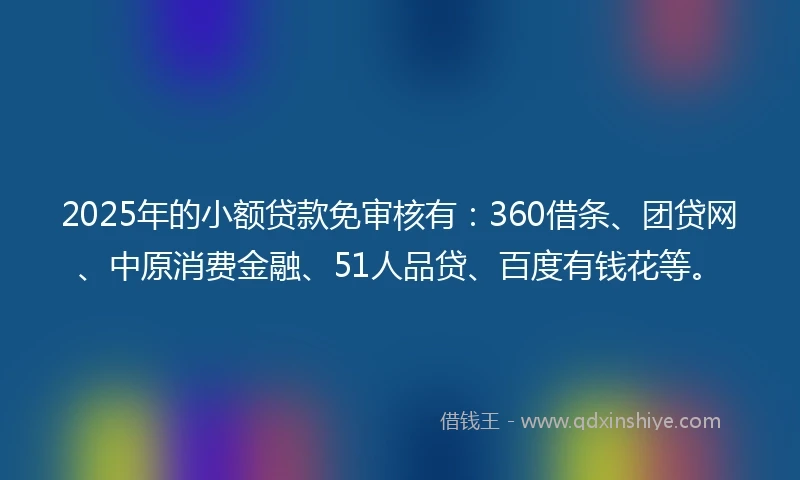 2025年的小额贷款免审核有：360借条、团贷网、中原消费金融、51人品贷、百度有钱花等。