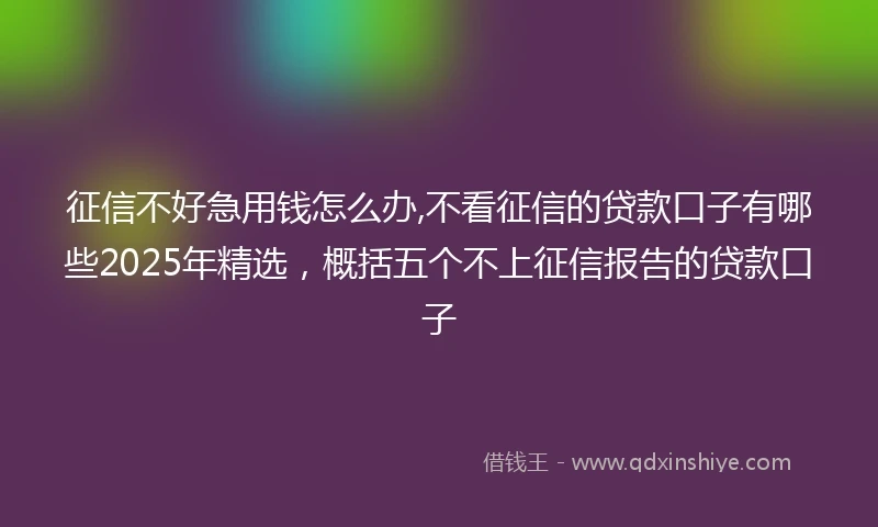 征信不好急用钱怎么办,不看征信的贷款口子有哪些2025年精选，概括五个不上征信报告的贷款口子