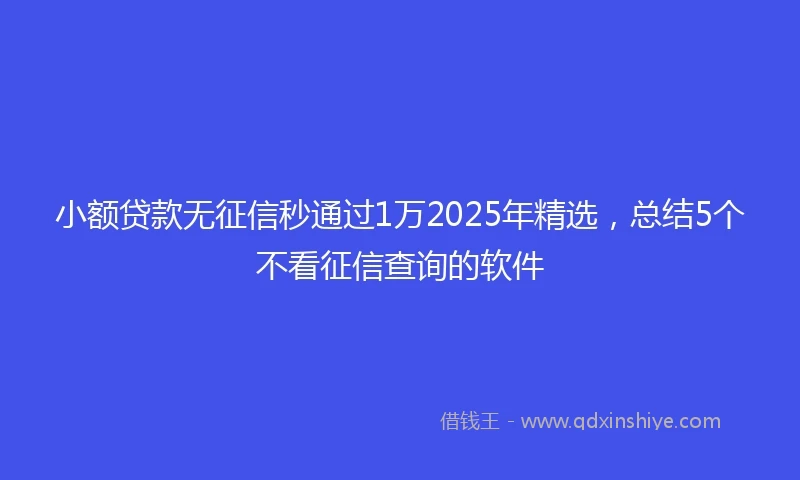 小额贷款无征信秒通过1万2025年精选，总结5个不看征信查询的软件