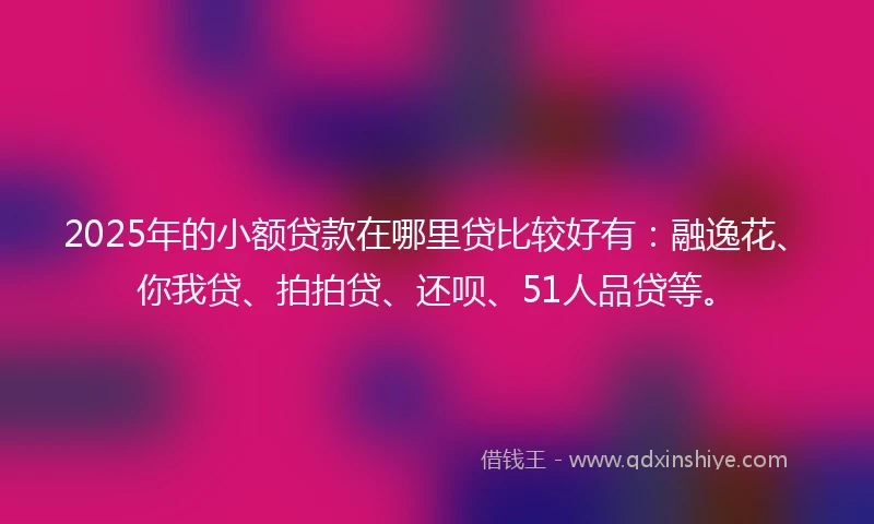 2025年的小额贷款在哪里贷比较好有：融逸花、你我贷、拍拍贷、还呗、51人品贷等。