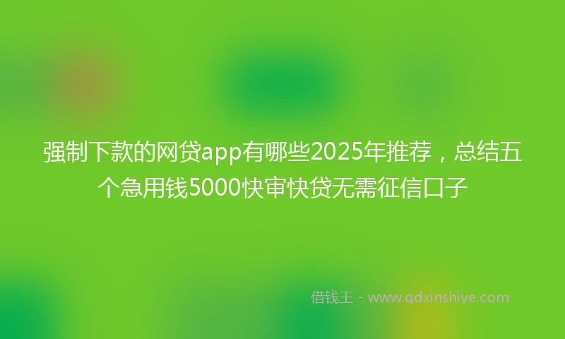 强制下款的网贷app有哪些2025年推荐，总结五个急用钱5000快审快贷无需征信口子