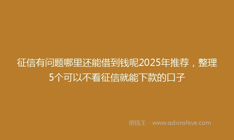征信有问题哪里还能借到钱呢2025年推荐，整理5个可以不看征信就能下款的口子