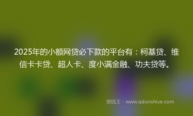 2025年的小额网贷必下款的平台有：柯基贷、维信卡卡贷、超人卡、度小满金融、功夫贷等。