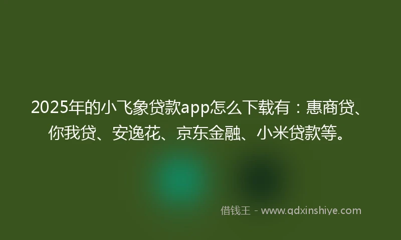 2025年的小飞象贷款app怎么下载有：惠商贷、你我贷、安逸花、京东金融、小米贷款等。