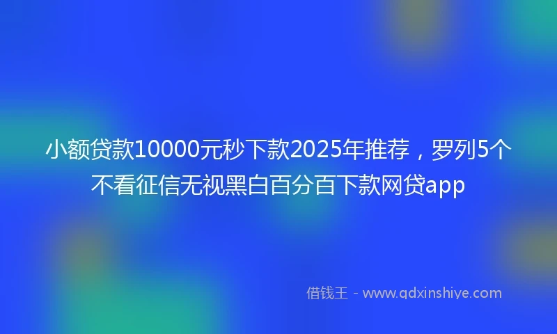 小额贷款10000元秒下款2025年推荐，罗列5个不看征信无视黑白百分百下款网贷app