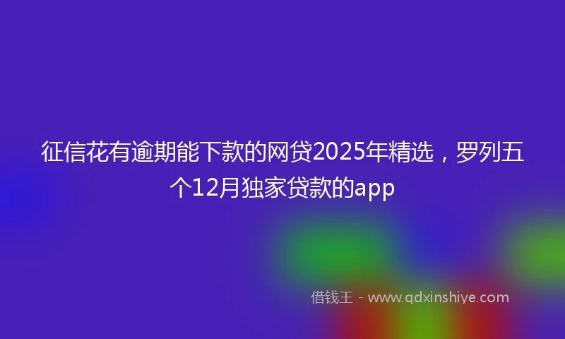 征信花有逾期能下款的网贷2025年精选，罗列五个12月独家贷款的app