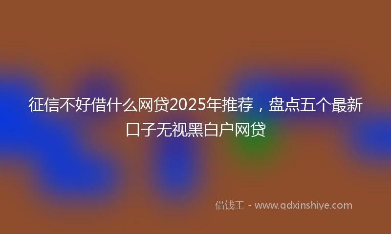 征信不好借什么网贷2025年推荐,盘点五个最新口子无视黑白户网贷