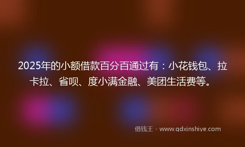 2025年的小额借款百分百通过有：小花钱包、拉卡拉、省呗、度小满金融、美团生活费等。