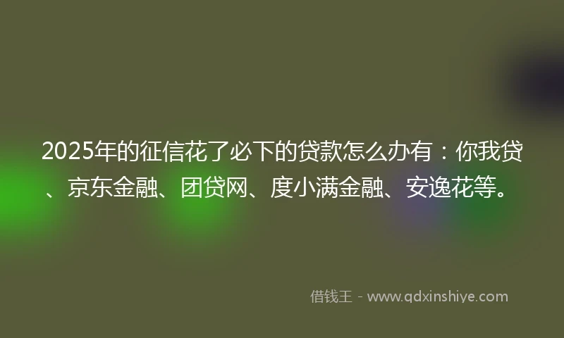 2025年的征信花了必下的贷款怎么办有：你我贷、京东金融、团贷网、度小满金融、安逸花等。