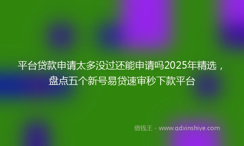 平台贷款申请太多没过还能申请吗2025年精选，盘点五个新号易贷速审秒下款平台