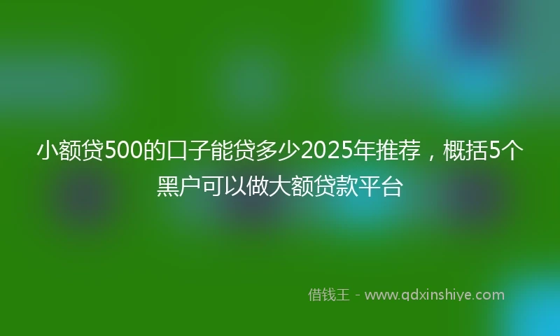 小额贷500的口子能贷多少2025年推荐，概括5个黑户可以做大额贷款平台