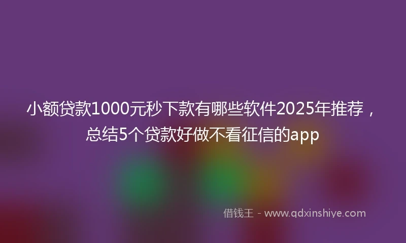 小额贷款1000元秒下款有哪些软件2025年推荐，总结5个贷款好做不看征信的app