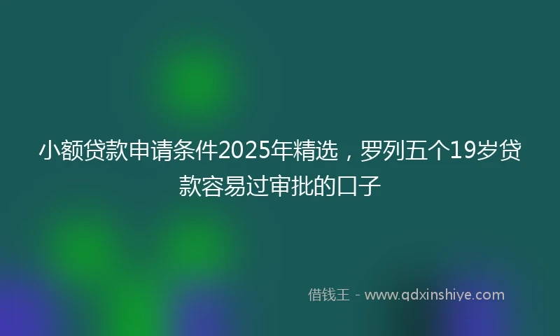 小额贷款申请条件2025年精选，罗列五个19岁贷款容易过审批的口子
