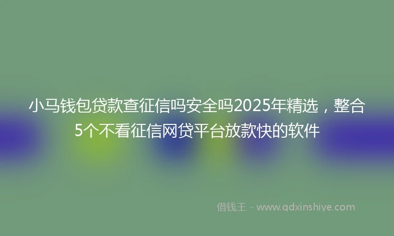 小马钱包贷款查征信吗安全吗2025年精选，整合5个不看征信网贷平台放款快的软件