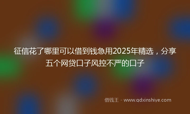 征信花了哪里可以借到钱急用2025年精选,分享五个网贷口子风控不严的口子