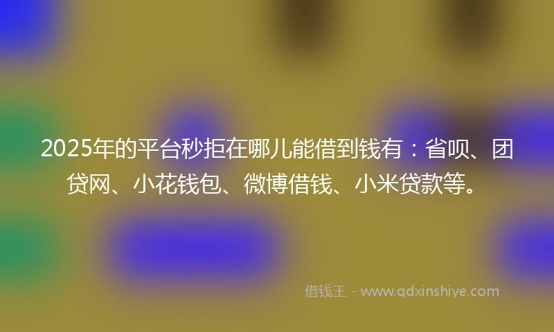 2025年的平台秒拒在哪儿能借到钱有：省呗、团贷网、小花钱包、微博借钱、小米贷款等。