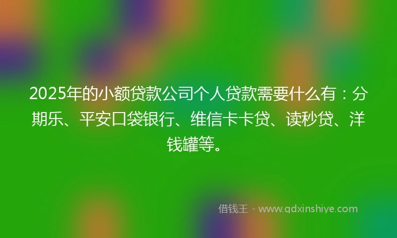 2025年的小额贷款公司个人贷款需要什么有：分期乐、平安口袋银行、维信卡卡贷、读秒贷、洋钱罐等。