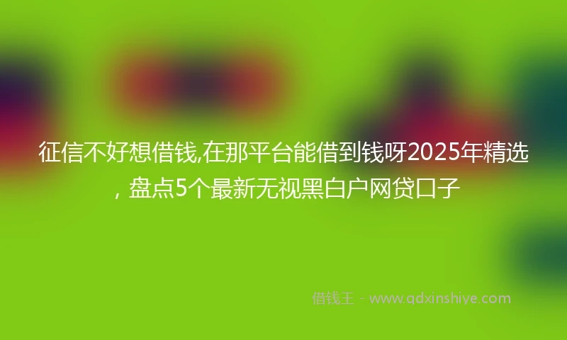 征信不好想借钱,在那平台能借到钱呀2025年精选,盘点5个最新无视黑白户网贷口子