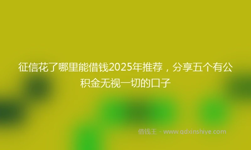 征信花了哪里能借钱2025年推荐，分享五个有公积金无视一切的口子