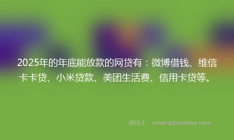 2025年的年底能放款的网贷有：微博借钱、维信卡卡贷、小米贷款、美团生活费、信用卡贷等。