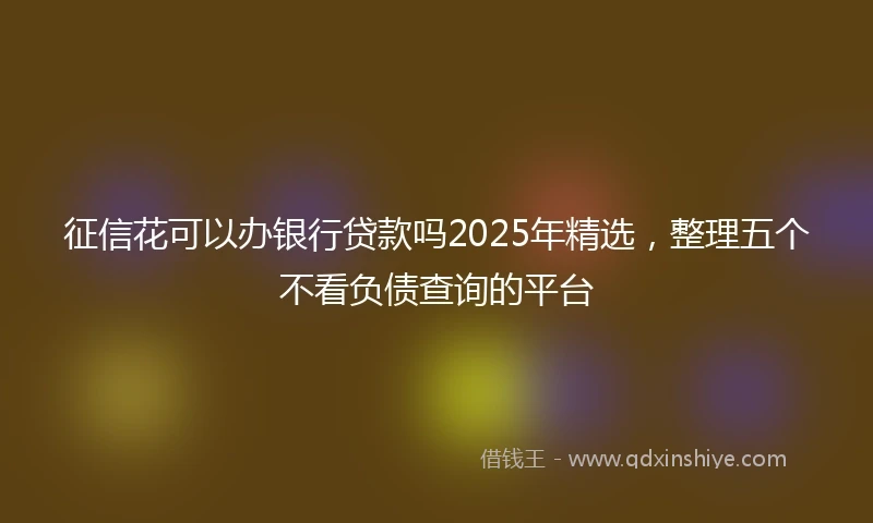 征信花可以办银行贷款吗2025年精选，整理五个不看负债查询的平台