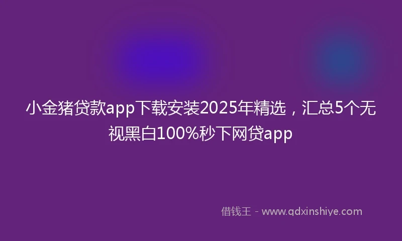 小金猪贷款app下载安装2025年精选，汇总5个无视黑白100%秒下网贷app