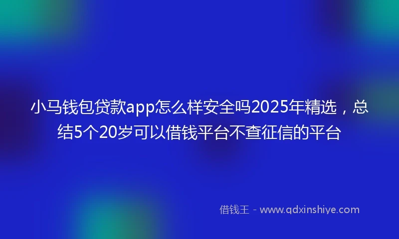 小马钱包贷款app怎么样安全吗2025年精选，总结5个20岁可以借钱平台不查征信的平台