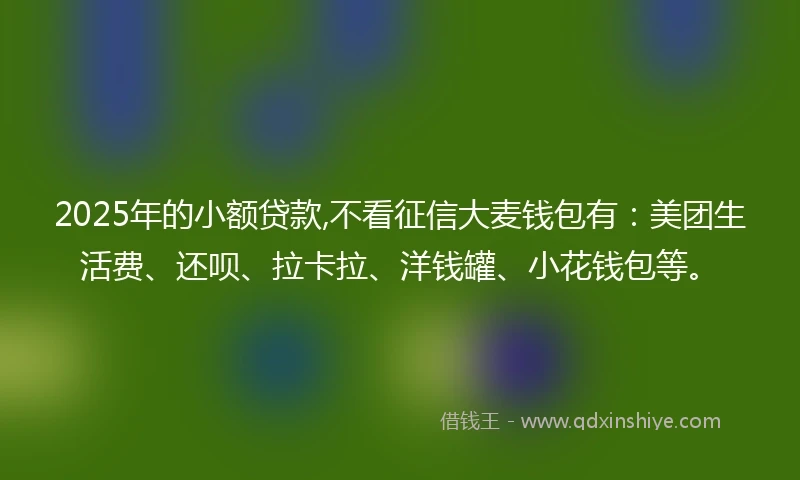 2025年的小额贷款,不看征信大麦钱包有：美团生活费、还呗、拉卡拉、洋钱罐、小花钱包等。
