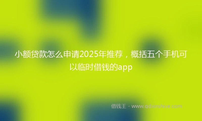 小额贷款怎么申请2025年推荐，概括五个手机可以临时借钱的app