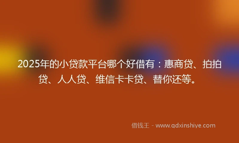 2025年的小贷款平台哪个好借有：惠商贷、拍拍贷、人人贷、维信卡卡贷、替你还等。